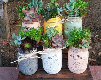 Super cute adorable rustic mason jar succulent arrangement customizable any color ( centerpiece/ wedding/ gift/ showers/ birthdays)