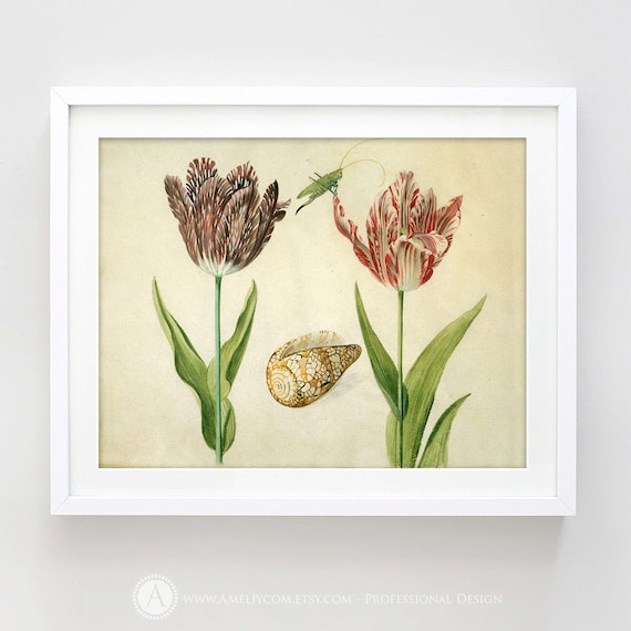 Tulips Print Printable Tulips Botanical Illustration Vintage