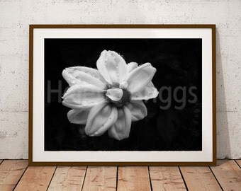 Black And White Photography Wall Art black & white photography | etsy uk Black And White Photography Wall Art black & white photography | etsy uk