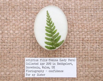 Lady Fern Brooch. Sterling Silver 925 Botanical Brooch with Real Fern Leaf Specimen.