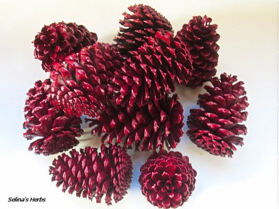 Burgundy Pine Cone Cranberry Pine Cone Wedding Pine Cone