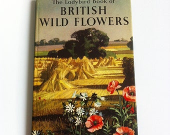 Vintage Ladybird book of British wild flowers