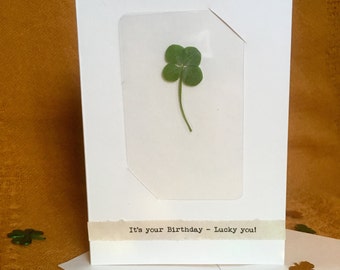 Greeting Card with Real Four Leaf Clover Laminated Wallet Card/Bookmark (It's your Birthday - Lucky you!)