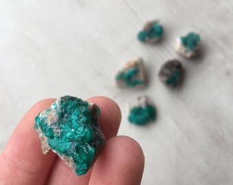 ONE Small Dioptase Cluster