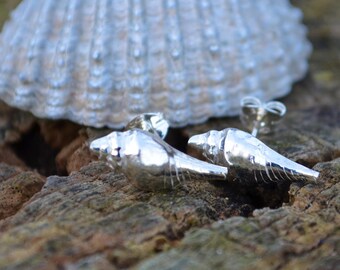 Fine Silver shell stud earrings