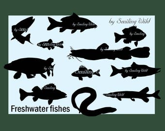 Catfish svg | Etsy