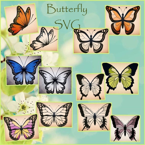 Download Butterfly SVG - Butterfly Layered and outlined SVG ...