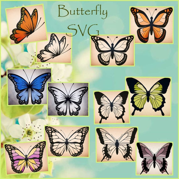 2 Layered Butterfly Svg Design - Free Layered SVG Files ...