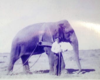 Cole Brothers Circus - 1938 - Clarence and Blanch 4x6 photo. See description.