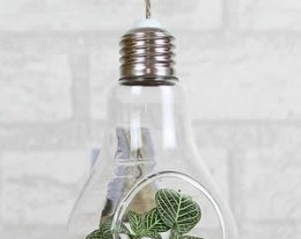 Hanging Vase, Air Plant Glass Terrarium Hanging Terrarium, Light Bulb Shaped Succulent/Crystal/Energy Unique Urban Garden Home Decor