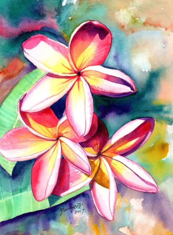 Plumeria Watercolors, Hawaiian Flowers, Tropical Flowers, Frangipani