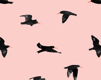 Oystercatchers by Susan Fletcher