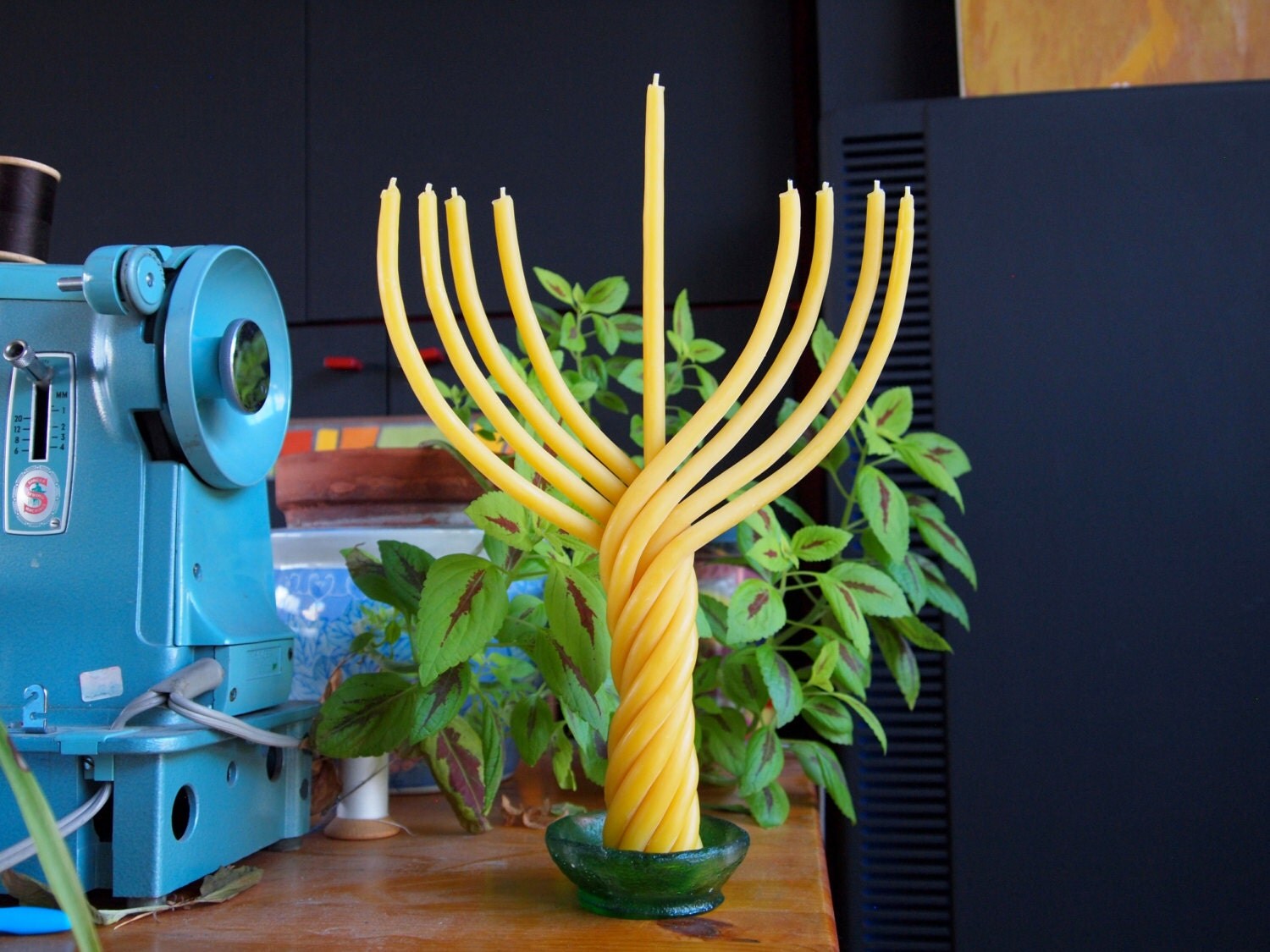 beeswax Hanukkah Menorah candle Hanukkah candles Jewish