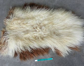Icelandic Sheepskin- Badger Moorit and SUPER Long Wooled Sheep Hide Lot No. 25202TURQ