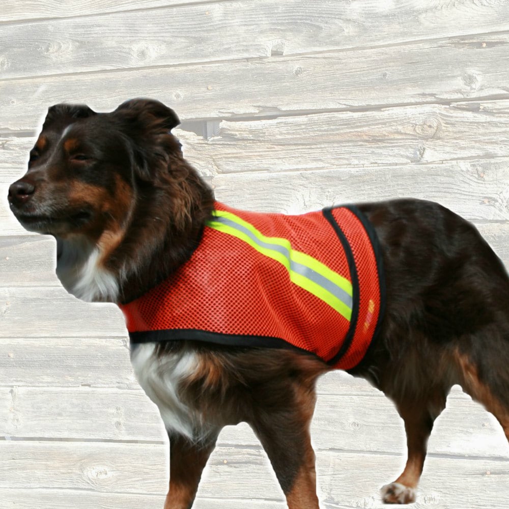 Dog Safety Vest of high visibility light weight orange mesh
