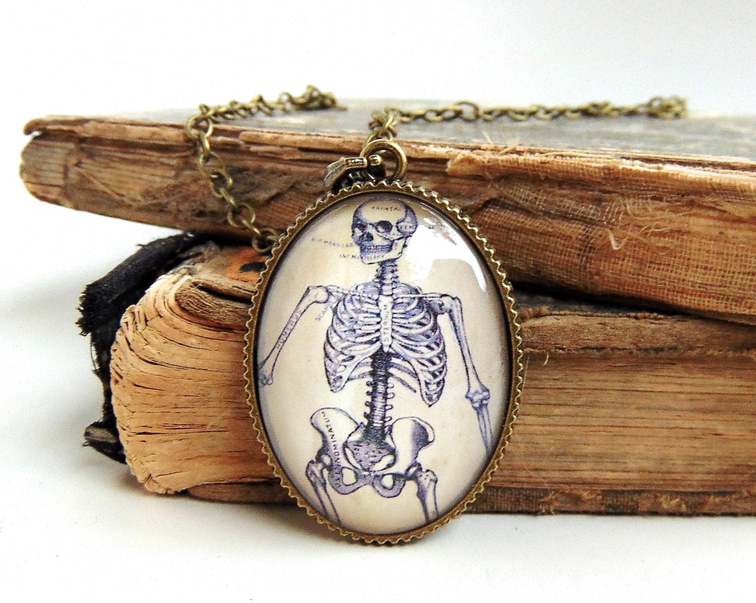 Anatomical Skeleton Necklace Anatomy Jewelry Human