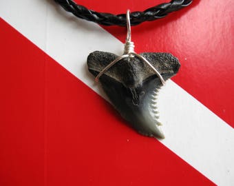 Shark Tooth Necklace, "Snaggletooth" Shark, Fossil Shark tooth, Venice-Florida, Braided leather cord, Silver plated wire wrap