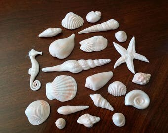 Gum Paste Sea Shells Kit No. 2 - 21 PC / Cake Topper and Cupcake Decorations