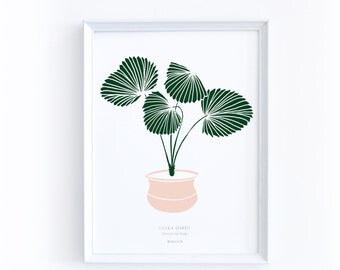 Minimal Decor, Leaves Wall Art, Greenery Print, Gardening Gift Idea, A4 Poster, Nature Art, Exotic Art, Interior Decor, Licuala Grandis