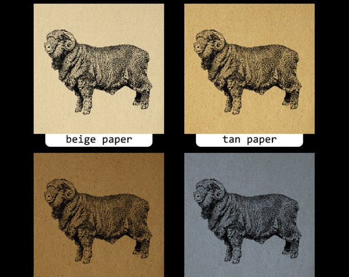 Printable Graphic Merino Ram Sheep Image Illustration Digital Download Vintage Clip Art Jpg Png Eps HQ 300dpi No.3236