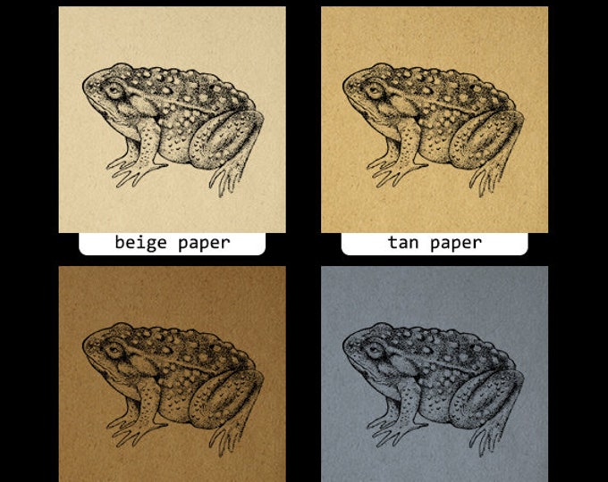 Frog Printable Graphic Digital Antique Image Download Vintage Clip Art Jpg Png Eps HQ 300dpi No.687