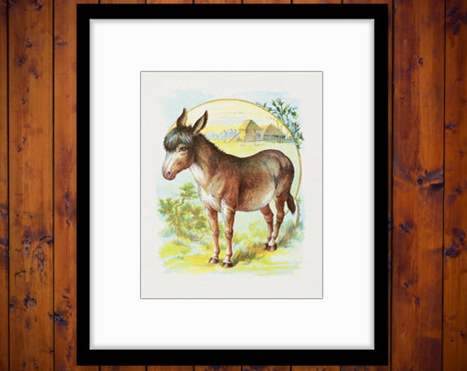 Printable Digital Donkey Download Color Illustration Image Classic Graphic Antique Clip Art HQ 300dpi No.2029