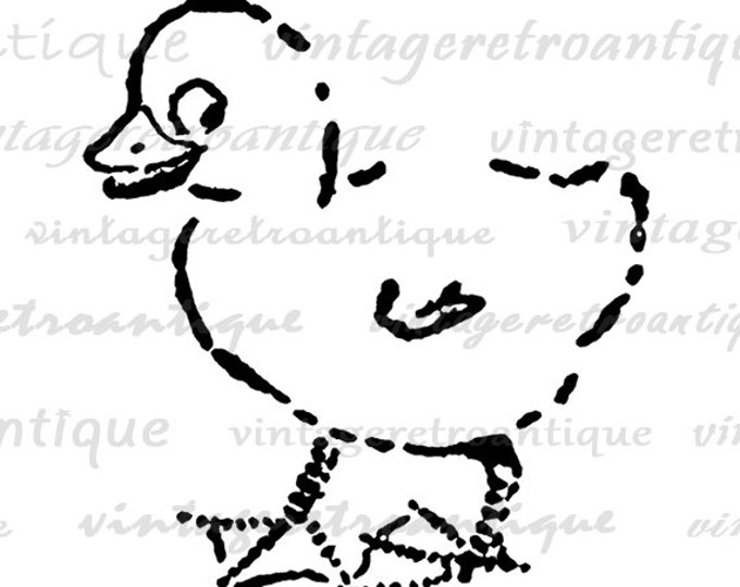 Printable Image Little Duckling Graphic Cute Bird Illustration Digital Duck Download Jpg Png Eps HQ 300dpi No.1567