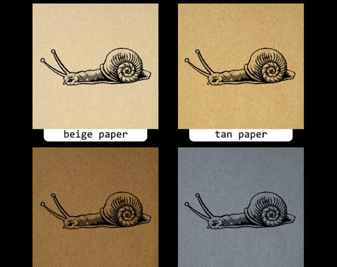 Snail Digital Image Graphic Download Printable Artwork Vintage Clip Art Jpg Png Eps HQ 300dpi No.3881