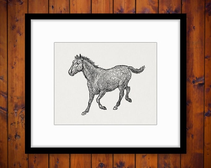 Running Horse Graphic Image Download Horse Illustration Digital Printable Vintage Clip Art Jpg Png Eps HQ 300dpi No.3060