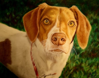 Custom Pet Portrait Drawing, Custom Color Pet Portrait, Portrait from Photo