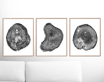 Tree Rings Print, Set of 3 prints, Black and White Tree Print PRINTABLE Pine Tree, anniversary gift, 16 x 20, Wood Prints, log slice, 8x10