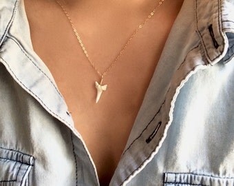 Mini Bite / Tiny Genuine Shark Tooth Necklace/ 14k Gold Fill or Sterling Silver Chain