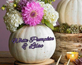 White Pumpkin & Lilac Candle/Bath/Body Fragrance Oil