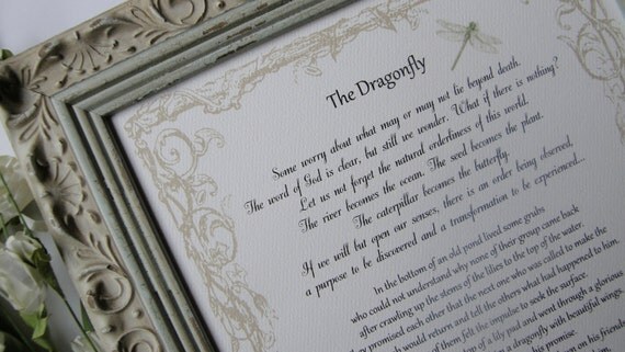THE DRAGONFLY Framed story on loss Sympathy by TheBitsofWisdomShop
