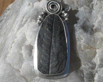 Ancient Fern Fossil, Pendant, Silver, Black, Plant Fossil, Fern Leaves