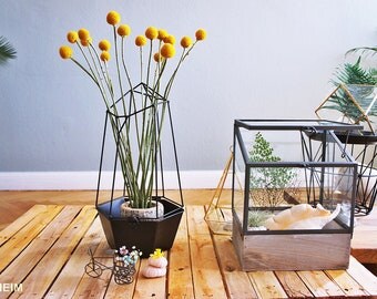 Dried Craspedia, dried flower arrangement, Billy Balls, Billy Buttons, craspedia bouquet, yellow round flower, flower arrangement