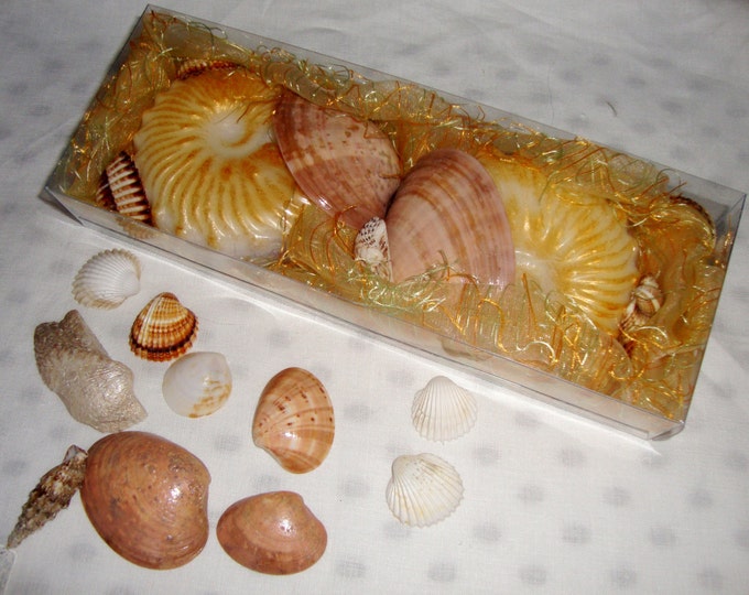 Golden Shell Shape Soaps Gift Set, Scented Soap Shell and Natural Aegean Sea Shells, Decorative Nautical Glycerin Soaps, Father's Day Gift