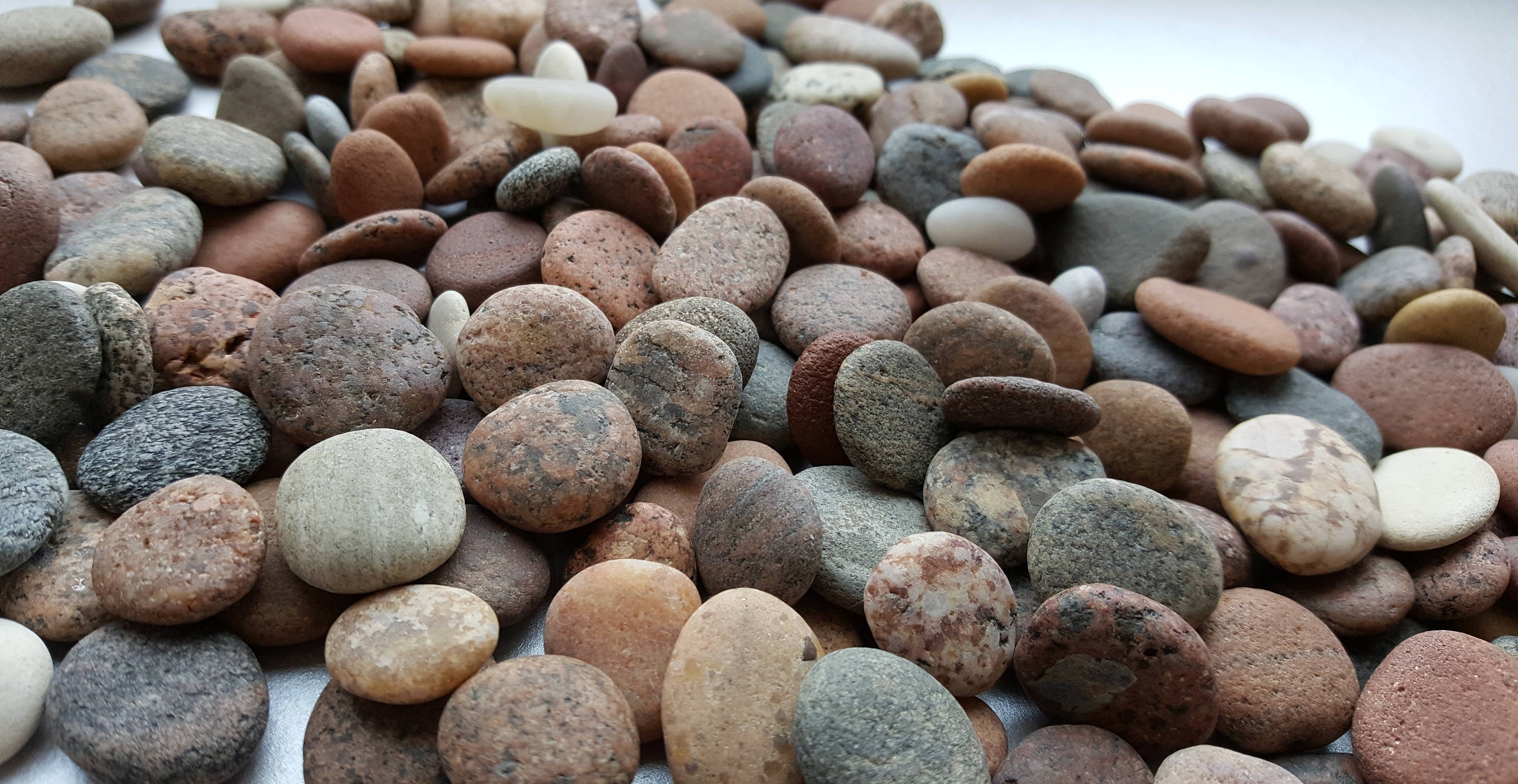 Round Sea Stones Bulk 230 pcs SmallBaltic Beach StonesSea