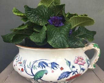 Vintage Booths China Chamber Pot / Planter c 1920s