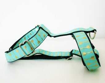Blue Gold Arrow Adjustable Dog Harness