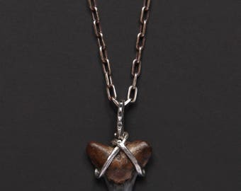 Shark tooth necklace - authentic shark tooth pendant wrapped in sterling silver - hangs from sterling silver cable chain - men's jewelry