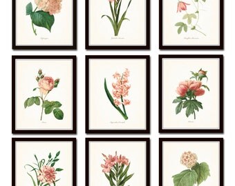White Botanical Print Set No. 2 Giclee Art PrintsBotanical