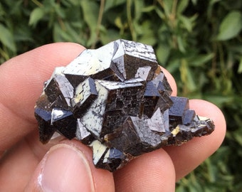 Andradite Garnet Cluster