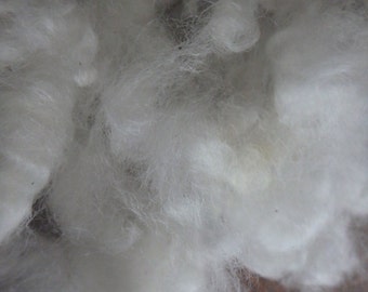 Border Leicester Washed Locks - 2 oz.