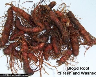 Hoodoo roots | Etsy