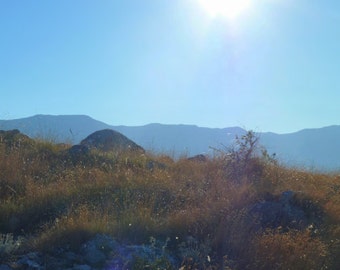 Mountain Morning, Nature Photography