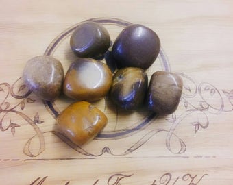 Petrified Wood Tumble Stones, Mineral Specimen, Fossilized wood, Past life Regression, Survival, Arizona, Rocks, Healing Crystals