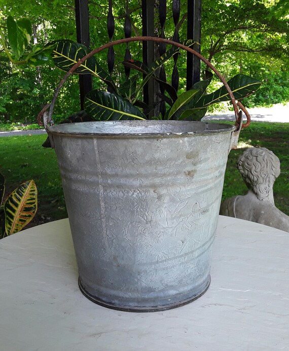 Galvanized Bucket Old Metal Pail Rustic Garden Planter