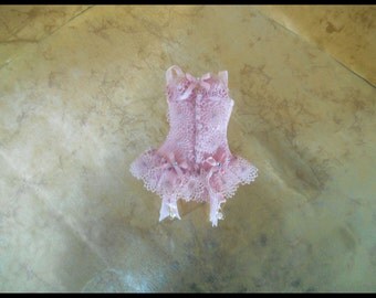 Elegant corsets with beautiful lace front