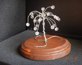 Small Weeping Cherry Tree